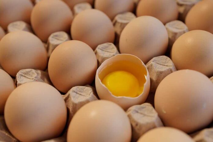shutterstock_2509408105.jpg featured image Eggs in carton one cracked revealing yolk