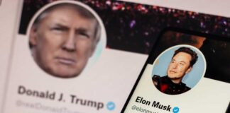 Donald Trump and Elon Musk Twitter profiles displayed.