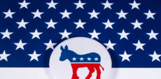 Democratic Party donkey logo on American flag background.