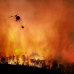 Helicopter fighting massive forest fire with water bucket