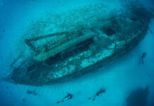 Underwater shipwreck with divers and school of fish.