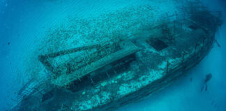 Underwater shipwreck with divers and school of fish.