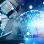 DNA Tech Solves Pearl Harbor Mystery! DNA sample under microscope