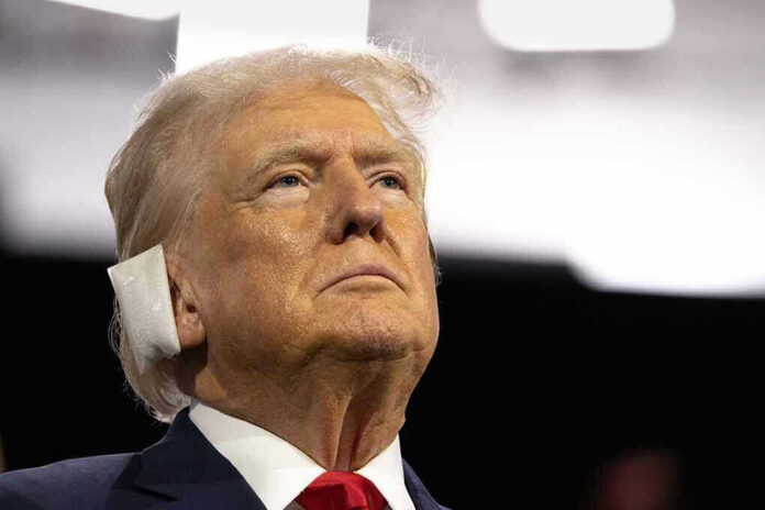 President Donald Trump
