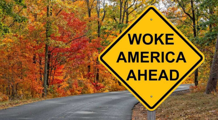 Yellow road sign: Woke America Ahead in autumn forest.