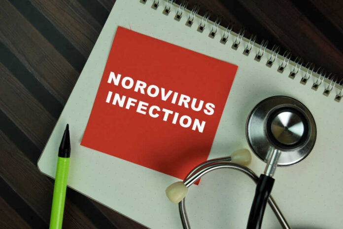 shutterstock_1959379171.jpg Red card with 'NOROVIRUS INFECTION' text on a notebook with a stethoscope and pens