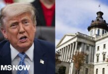 Red State GOP Rebels Against Trump Map BREAKING: GOP-led South Carolina Senate rejects new congressional map in surprise rebuke of Trump