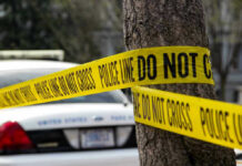 Deadly Drop Claims Three Lives Police tape surrounding a tree and police car.