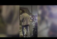 Shia LaBeouf pleads guilty to simple battery charges in connection to NOLA bar fight