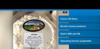 Cheese lovers beware! FDA recalls soft cheeses sold in Maryland and Virginia after listeria outbreak