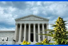 Unanimous Ruling Upends Fed Gun Tactic Supreme Court's unanimous ruling: Government can’t disarm marijuana users