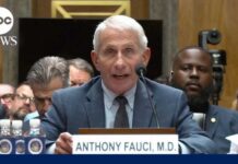 Fauci’s STUNNING Gambit Freezes Senate Fauci invokes 5th Amendment during Senate testimony