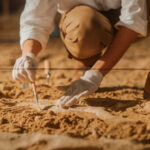 Ancient Rings Unearthed, Zodiac Message Stuns Archaeologist carefully excavating fossils in sandy soil