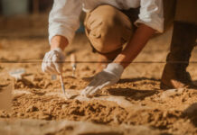 Archaeologist carefully excavating fossils in sandy soil
