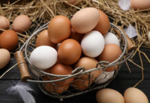 19 Million Eggs Pulled In Shocking Move Basket of brown and white eggs on straw