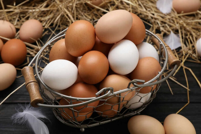 shutterstock_2463212355 Basket of brown and white eggs on straw