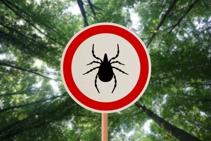 Warning,Sign,Marking,Habitat,Of,Ticks,In,Forest,,,Bottom Brown tick crawling on human skin surface