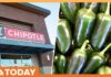 Spicy Scare Hits Chipotle Officials Probe Salmonella Outbreak Tied to Jalapeños at Chipotle