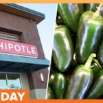 Officials Probe Salmonella Outbreak Tied to Jalapeños at Chipotle
