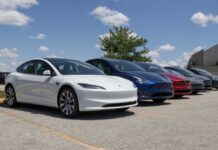 A lineup of Tesla electric vehicles parked outdoors under a blue sky