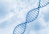 DNA Bombshell Revives Infamous Murder Illustration of a DNA double helix on a blue background
