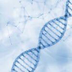 DNA Bombshell Revives Infamous Murder Illustration of a DNA double helix on a blue background