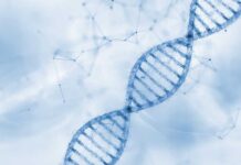 DNA Bombshell Revives Infamous Murder Illustration of a DNA double helix on a blue background
