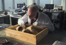 Newly Discovered Tomb Stuns Scientists