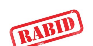 Red RABID stamp graphic with distressed texture on white background