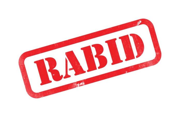Red RABID stamp graphic with distressed texture on white background