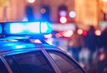 Buried Suitcase Murder Twist Shocks Investigators Close-up of a police car with blue emergency lights in a city at night